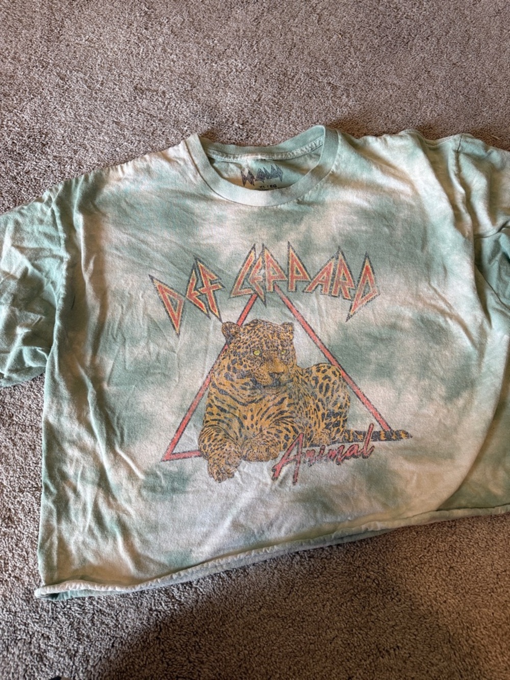 Def Leppard Band Tee in Mint Green